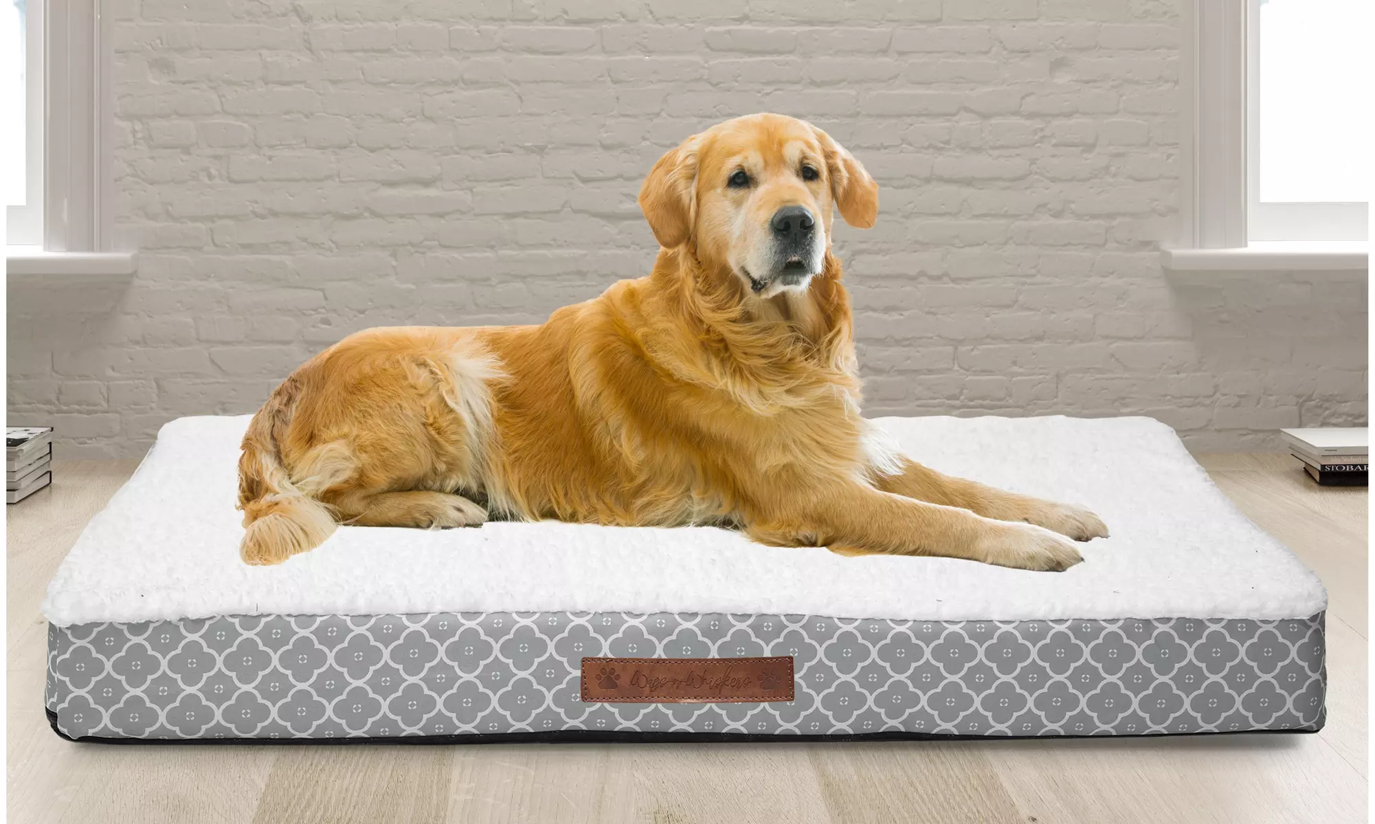 Wags and Whiskers Orthopedic Pet and Dog Bed - Primary Image
