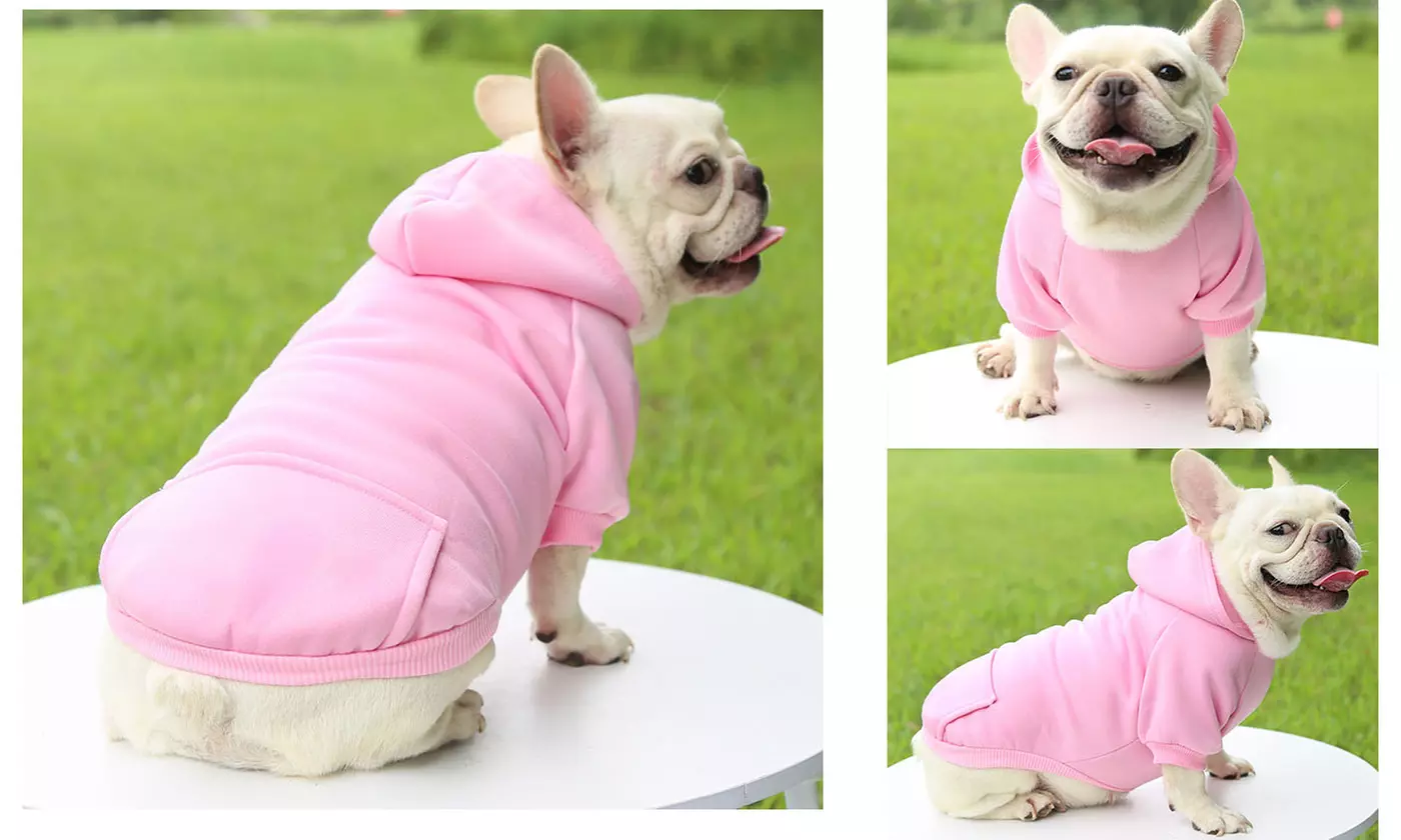 Fall Winter Dog Hoodie Sweatshirts Coat with Pocket for Dogs Puppy Cat