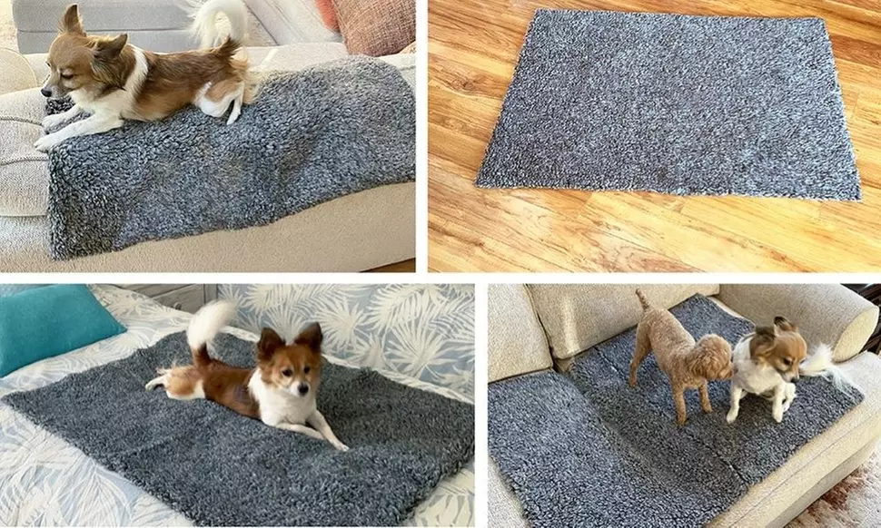 Scoochie Poochie Dog Bed & Crate Pad