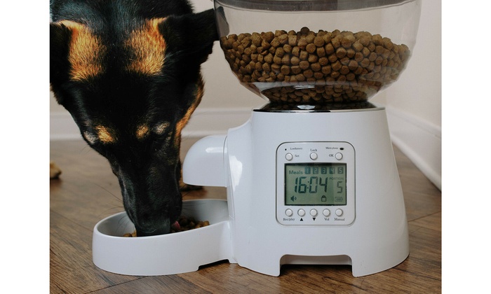 Automatic Pet Feeder Dog Cat Programmable Animal Food Bowl Timed