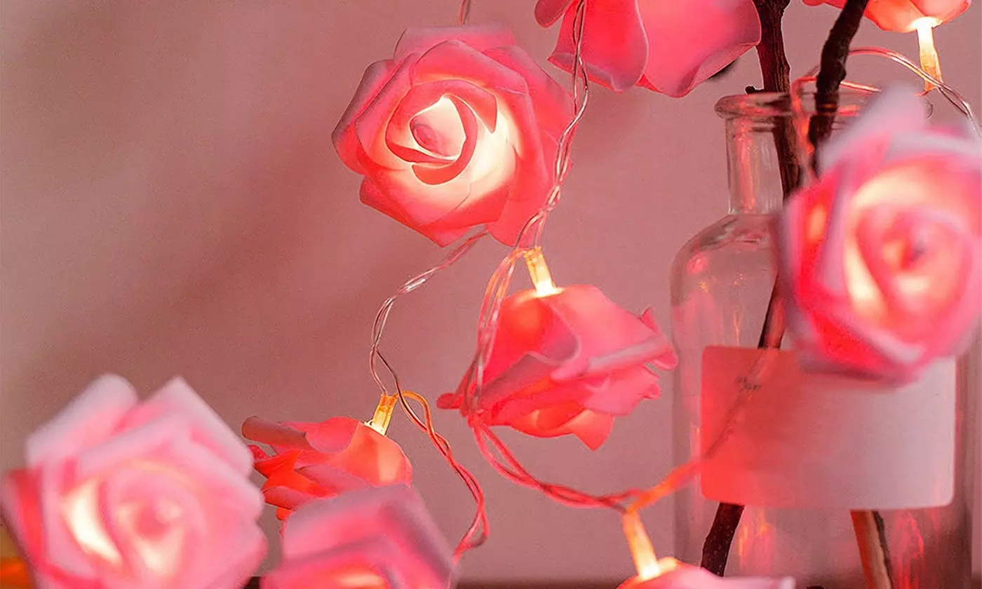  iMounTEK 40-LED Rose String Lights Romantic Valentines Day Decor (2-Pack)