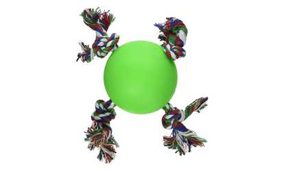 Hueter Toledo Soft Flex The Tuggy Dog Toy