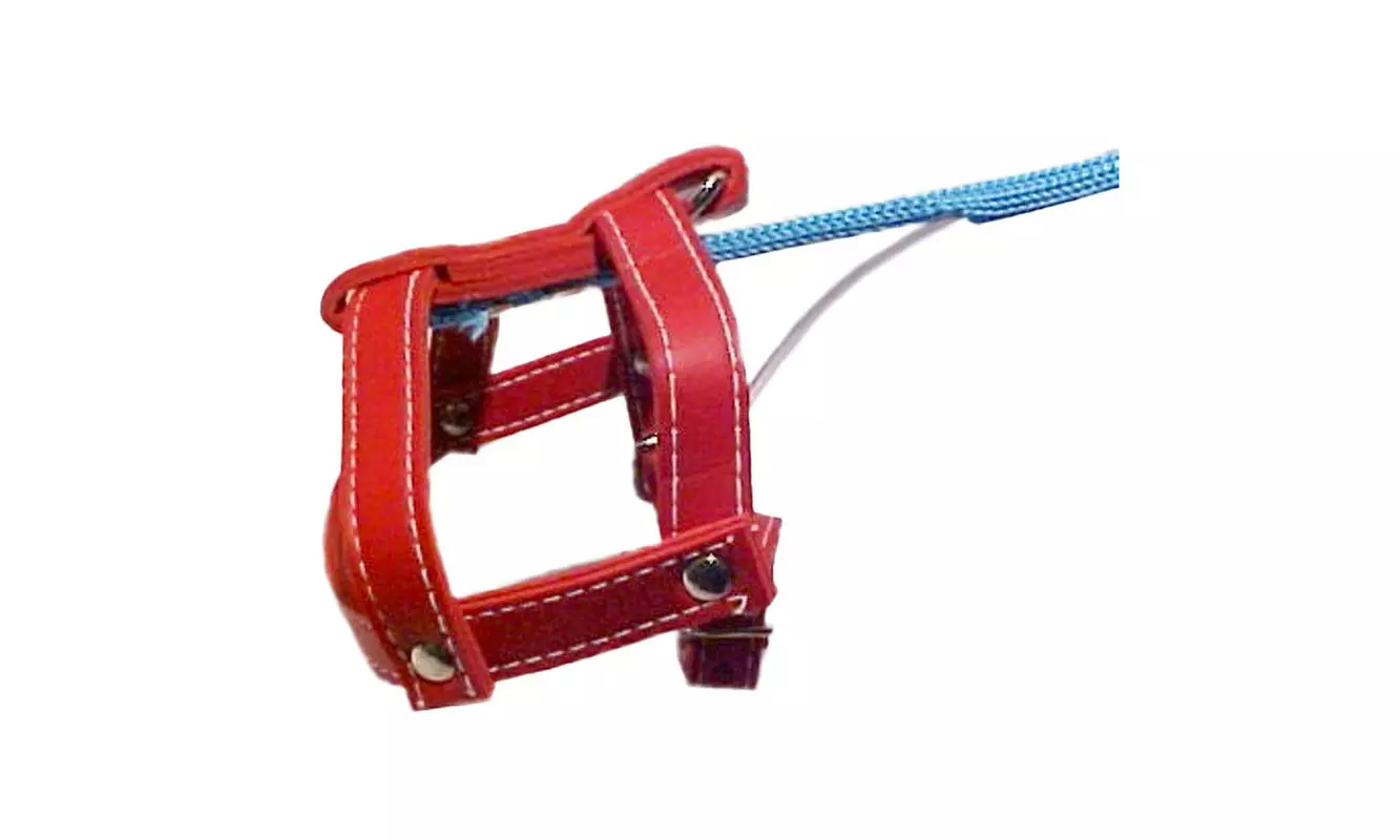 Deluxe SQUIRTING INVISIBLE DOG LEASH Squirts Water Joke Toy Funny Prop Clown Gag - Primary Image