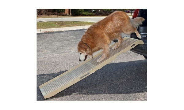 Petstep original 2025 folding pet ramp