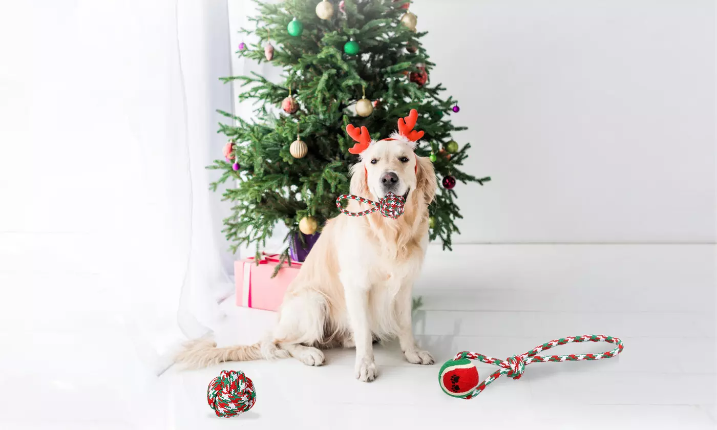 iMounTEK Christmas Dog Rope Chew Toys