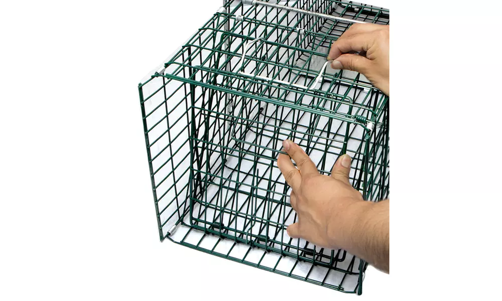 Live Animal Trap 32" X 12" X 12" Steel Outdoor Professional Grade - Primary Image