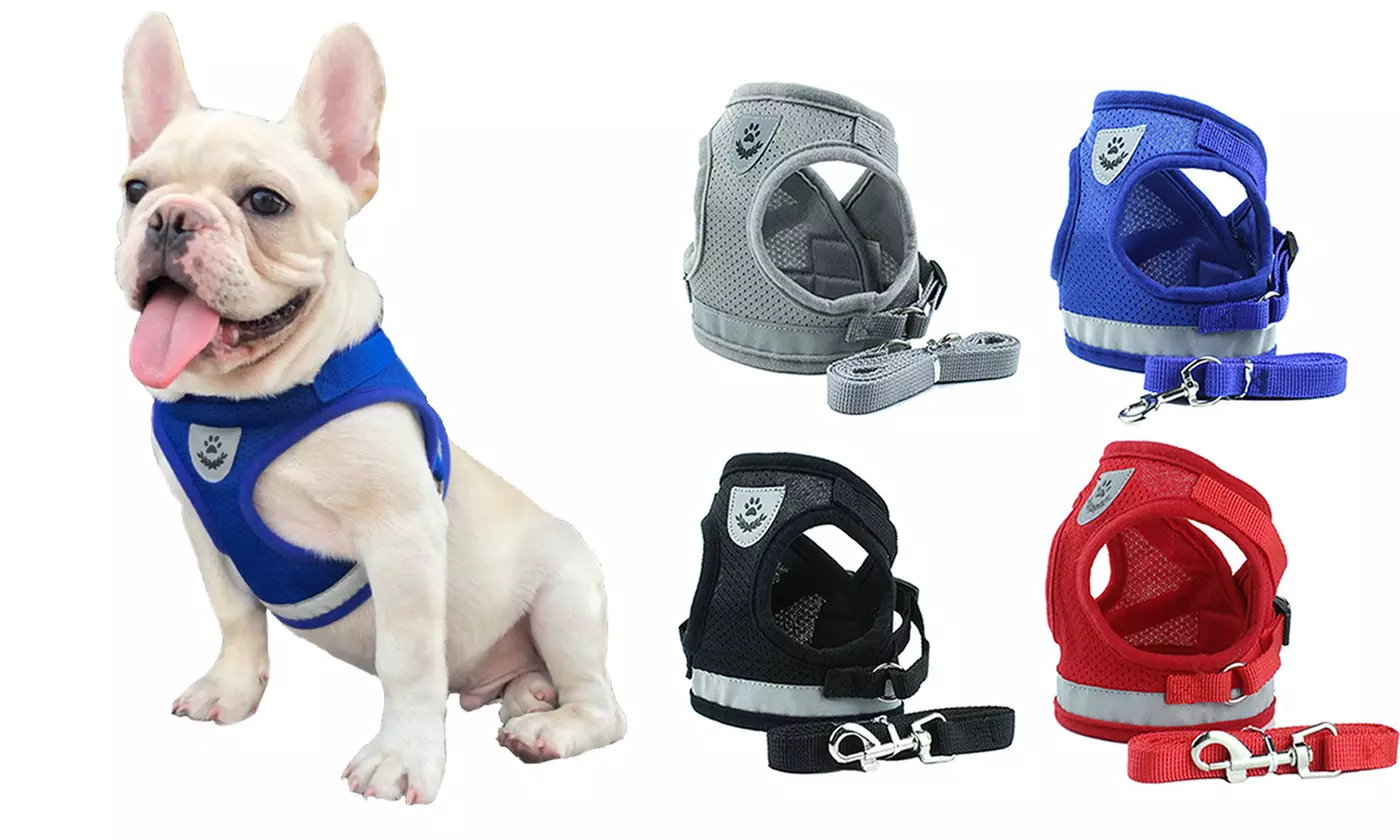 Dog Cat Harness Pet Adjustable Collar Reflective Vest Walking Lead Leash Set  - Primary Image