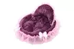 Pet Dog Puppy Princess Bows Lace Heart Elegant Lovely Bed Doghouse Pet Warm Bed - Second Medium