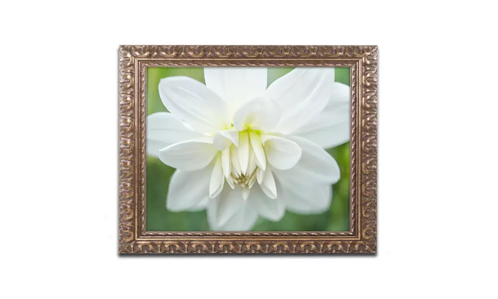 Cora Niele 'White Dahlia' Ornate Framed Art - Primary Image