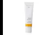 Up to Six-Pack Dr. Hauschka Quince Day Cream 1 oz - Second Medium