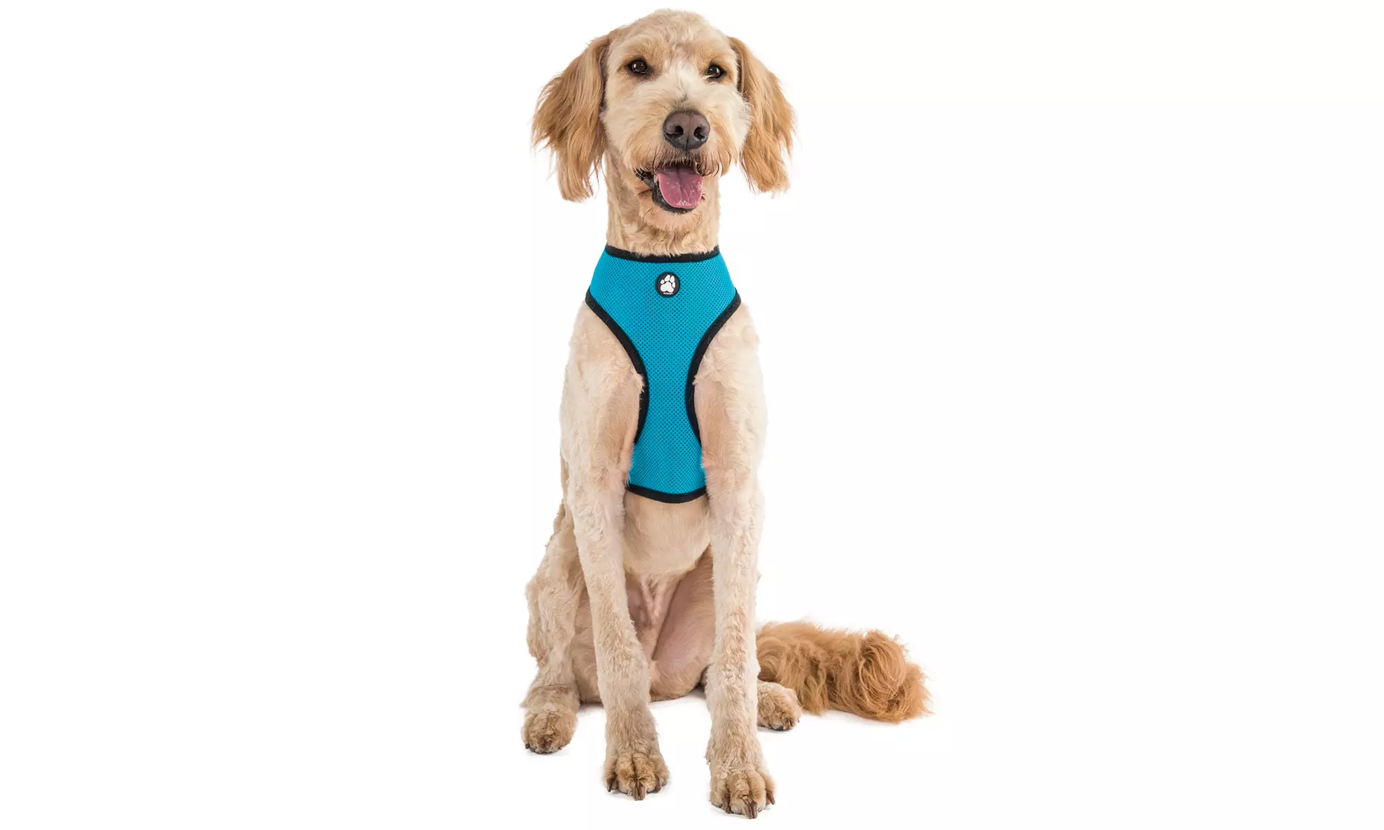 FurHaven Pet Easy Comfort Mesh Dog Harness
