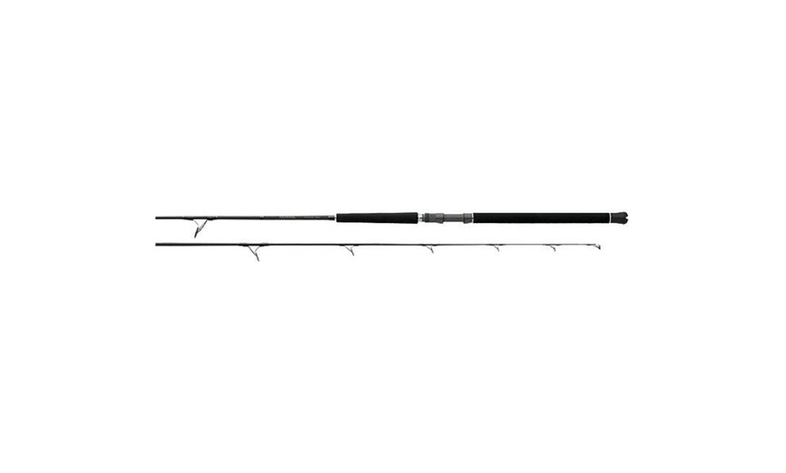 daiwa proteus boat spinning rod