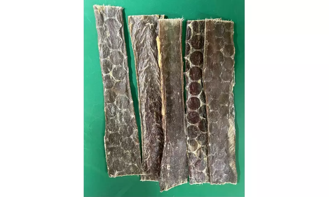 Chef Toby 10" Esophagus Jerky 10 Pack - Dogs love 'em - Primary Image