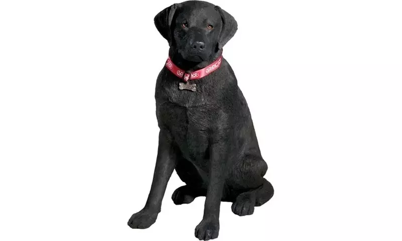 Sandicast LS901 Life Size Large Black Labrador Retriever Sculpture Sitting - Second Medium