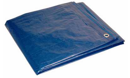 image for Tarp Blue 20x30'