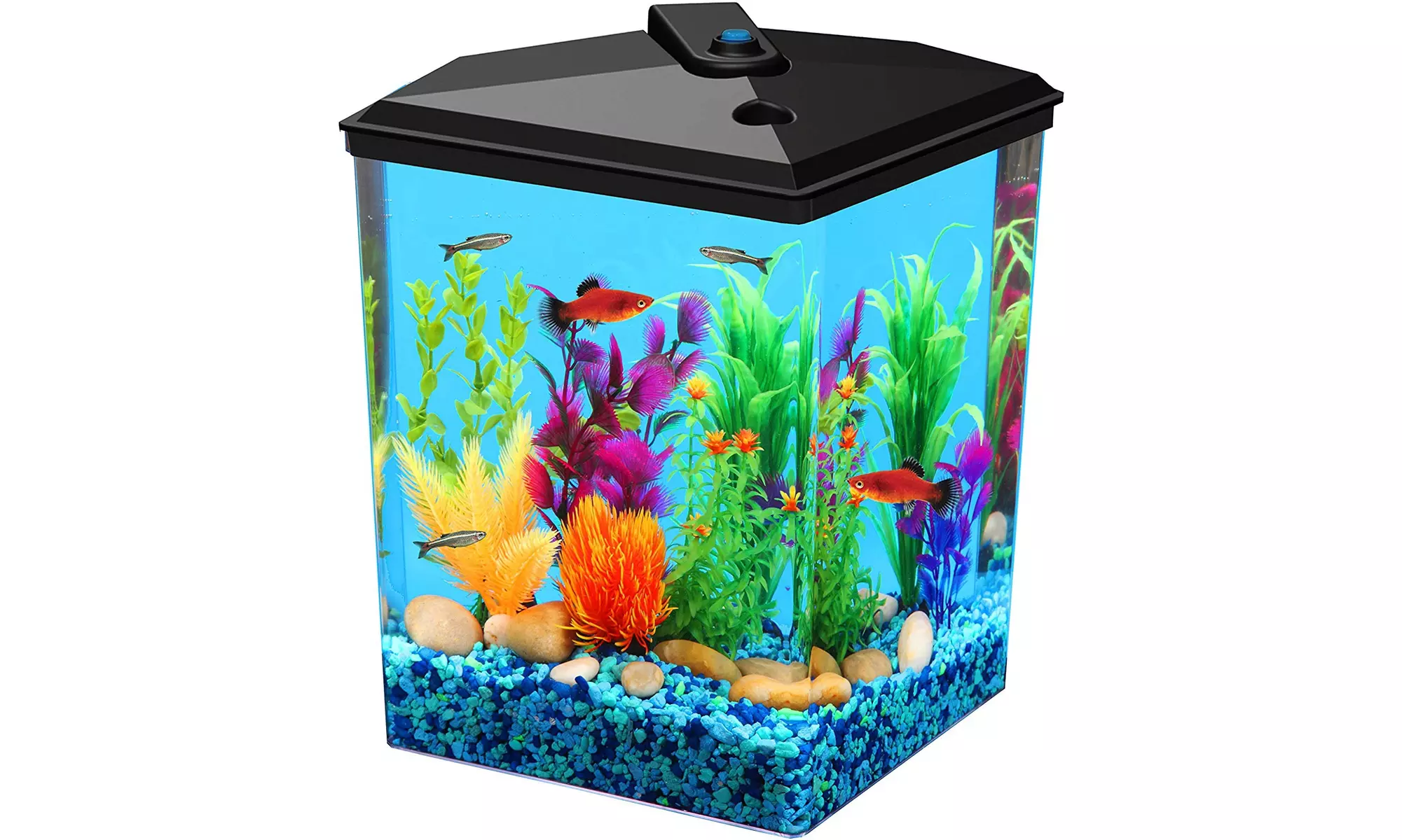 Products AquaView 2.5 gallon Fish Tank - Power Filter - LED Lighting - Primary Image