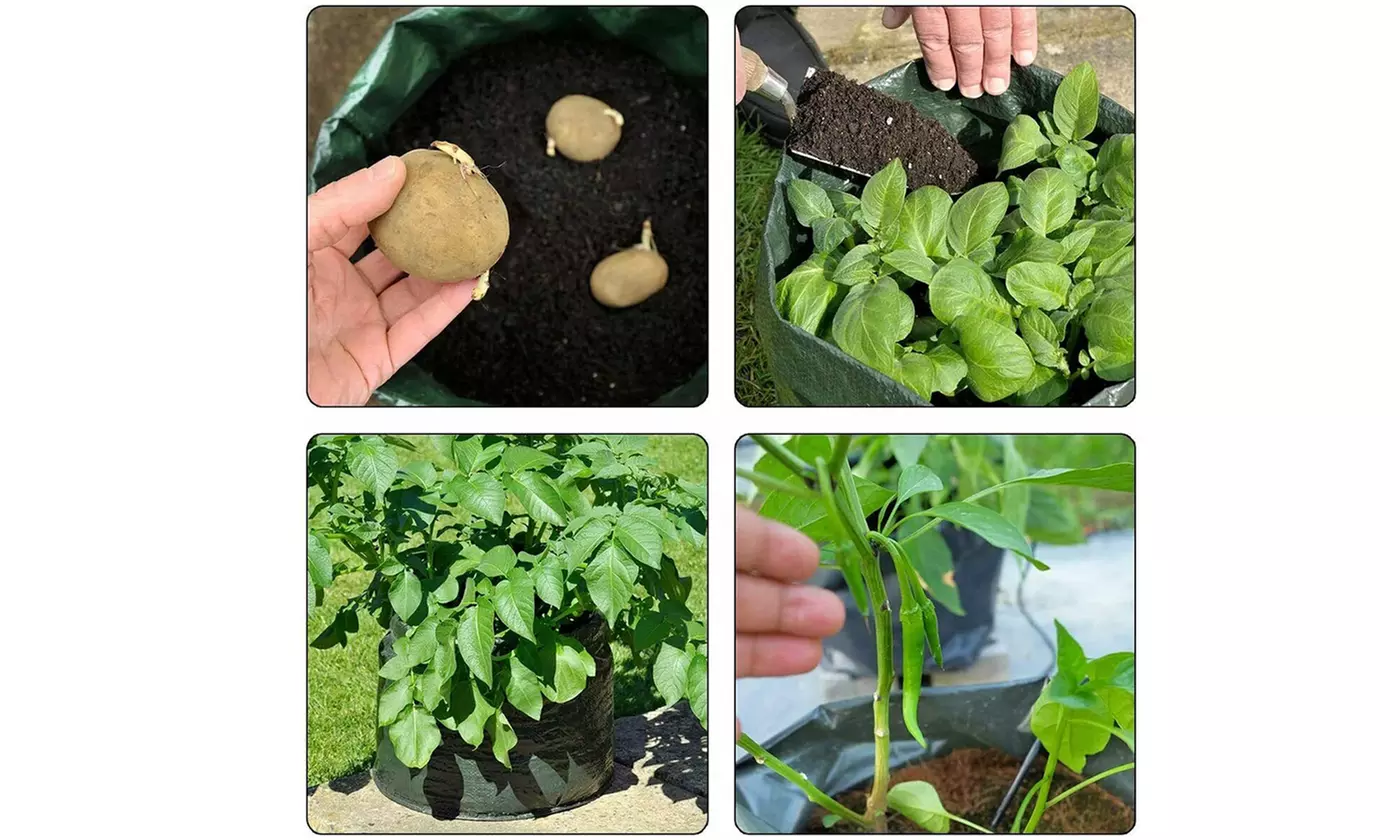Heavy Duty Garden Grow Bags with Flap Handles Vegetable Planter Pots