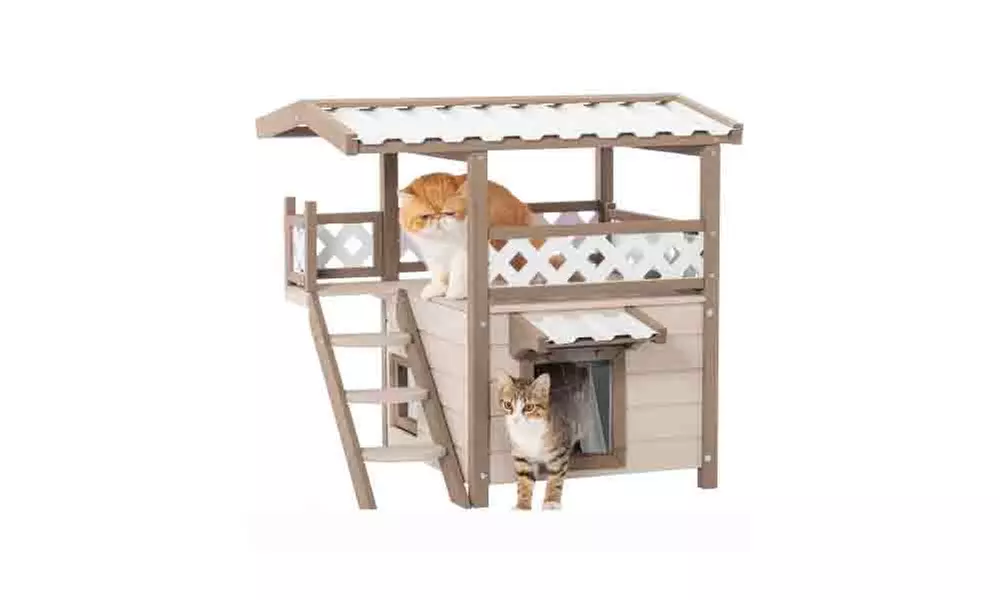 Feral Cat House  Kitty Houses 2 Story Design Perfect for Multi Cats  - Primary Image