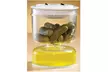 New 2 Flip Lid Jars Pickle Jar Smart Way To Store Foods - Second Medium