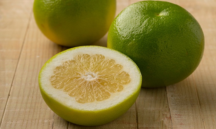 Potted Citrus G Fruit Oroblanco Groupon - Lemon Patio Tree Van Zyverden Potted Citrus G Fruit Oroblanco Groupon - Lemon Patio Tree Van Zyverden