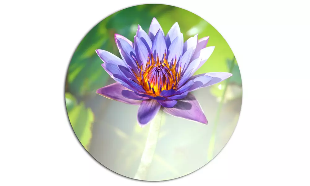 Huge Purple Lotus on Green Background' Large Flower Oversized Metal Circle - Second Medium