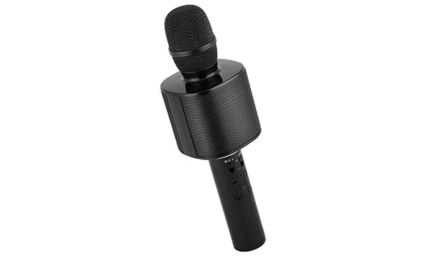 Wireless Bluetooth Karaoke Microphone with Phone Holder, Karaoke Machine Speaker - Second Medium
