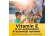 Nature Made Vitamin E 180 mg (400 IU) dl-Alpha - Second Medium