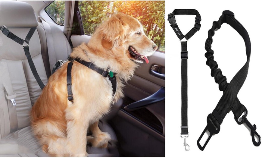 Up To 53% Off on Dog or Cat Vehicle Seat Belt ... | Groupon Goods