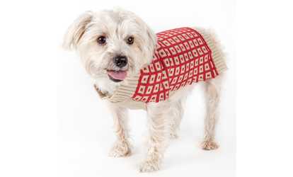 Butterscotch Box Weaved Heavy Cable Knitted Turtle Neck Dog Sweater