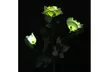 Inverlee 3 Head White Rose flower Solar Lamp - Second Medium