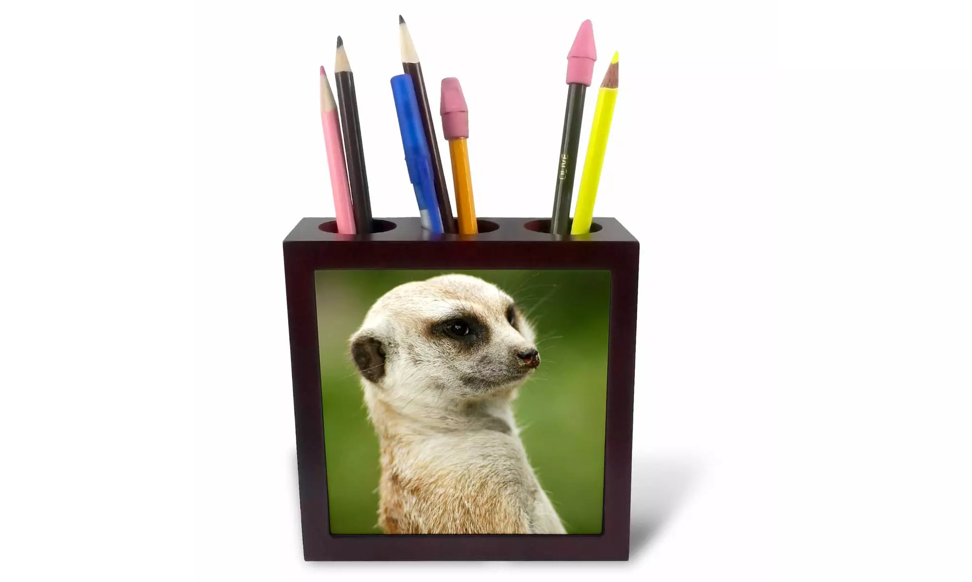  Tile Pen Holder - Slender-tailed Meerkat, San Diego Zoo, California - US05 MPR - Primary Image