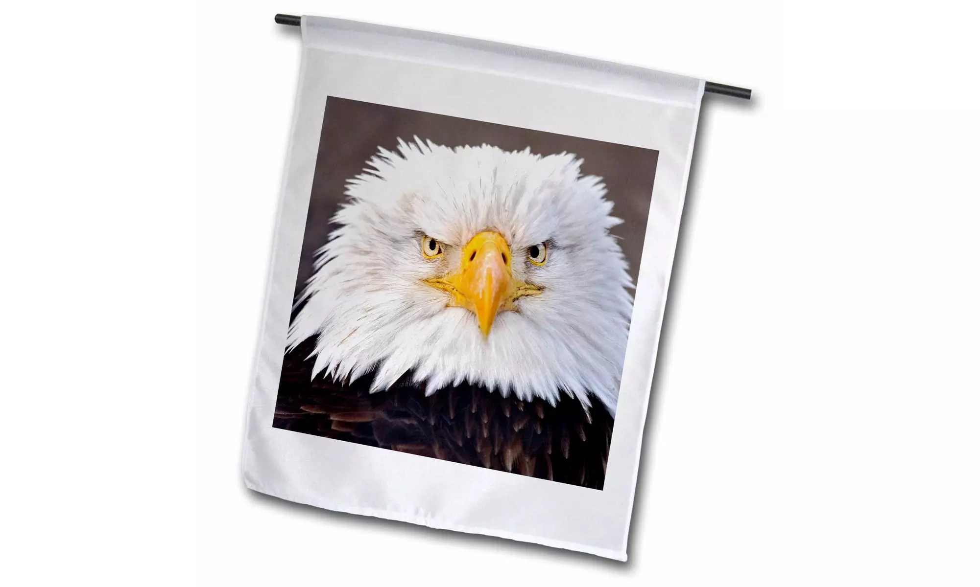  Garden Flag Bald Eagles, Homer, Alaska - US02 AJE0019 - Adam Jones  - Primary Image