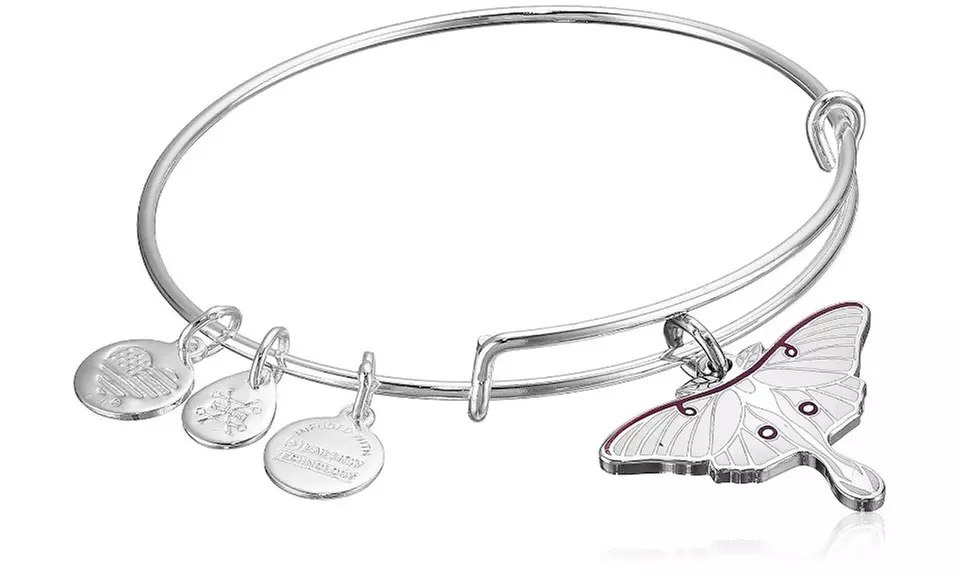 ALEX and ANI LUNA MOTH Shiny Silver Bangle Charity By Design  W/Tag Card  Box - Second Medium