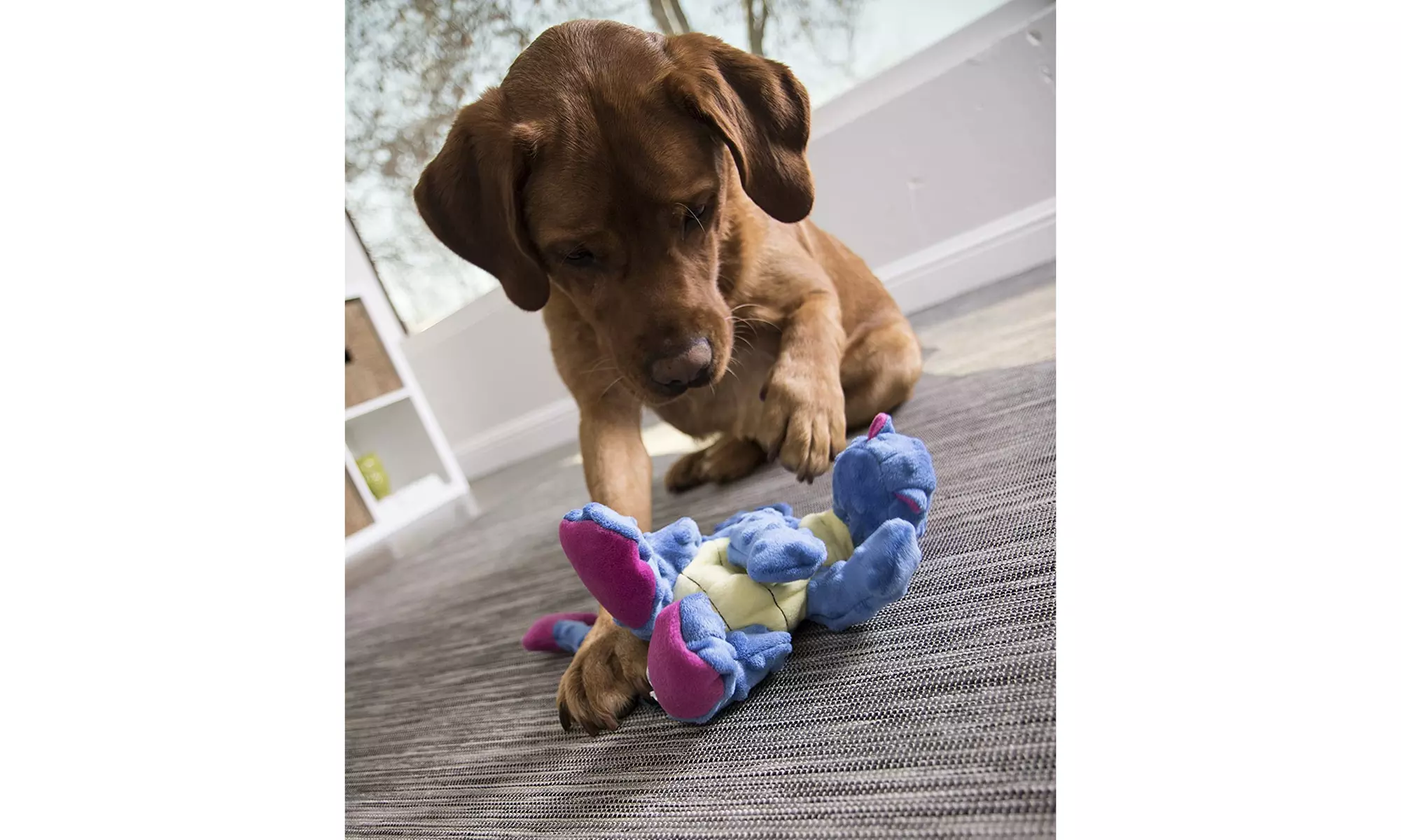 goDog Dragons Squeaker Plush Pet Toy for Dogs & Puppies, Soft & Durable
