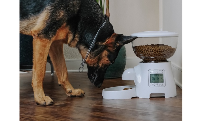 Automatic Pet Food Bowl Dispenser Programmable Voice Recorder