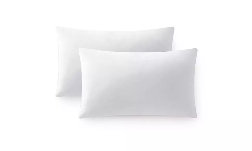 Peace Nest  2 Pack Feather Down Throw Pillow Inserts