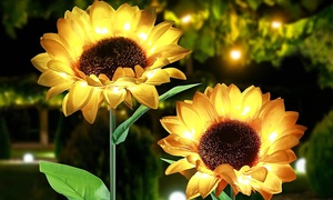 Solar Sunflower Outdoor Garden Stake Lights (2-, 6- or 8-Pcs)