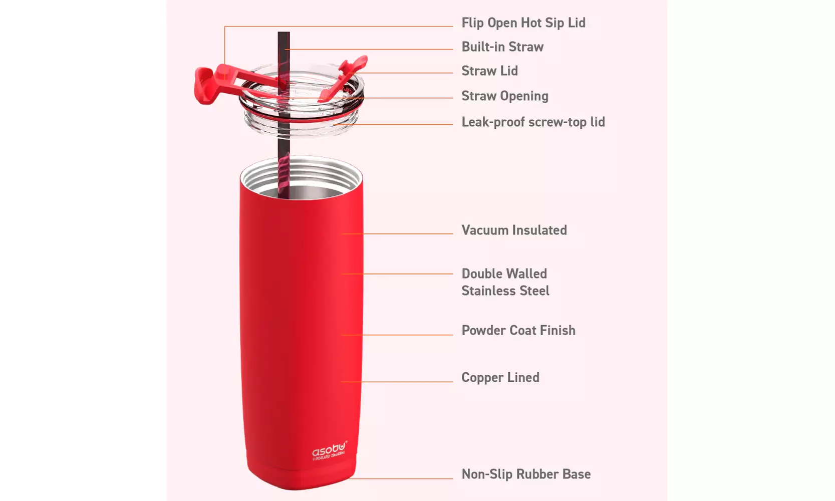 Asobu Aqualina 20oz Insulated Tumbler Water Bottle with Leakproof Lid and Straw