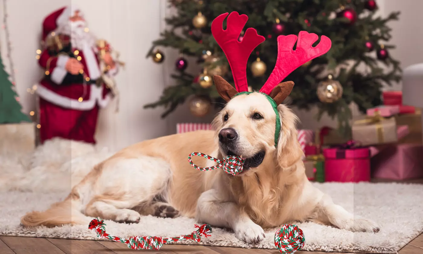 iMounTEK Christmas Dog Rope Chew Toys