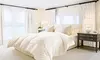 Elliz All Season Down Alternative Comforter 