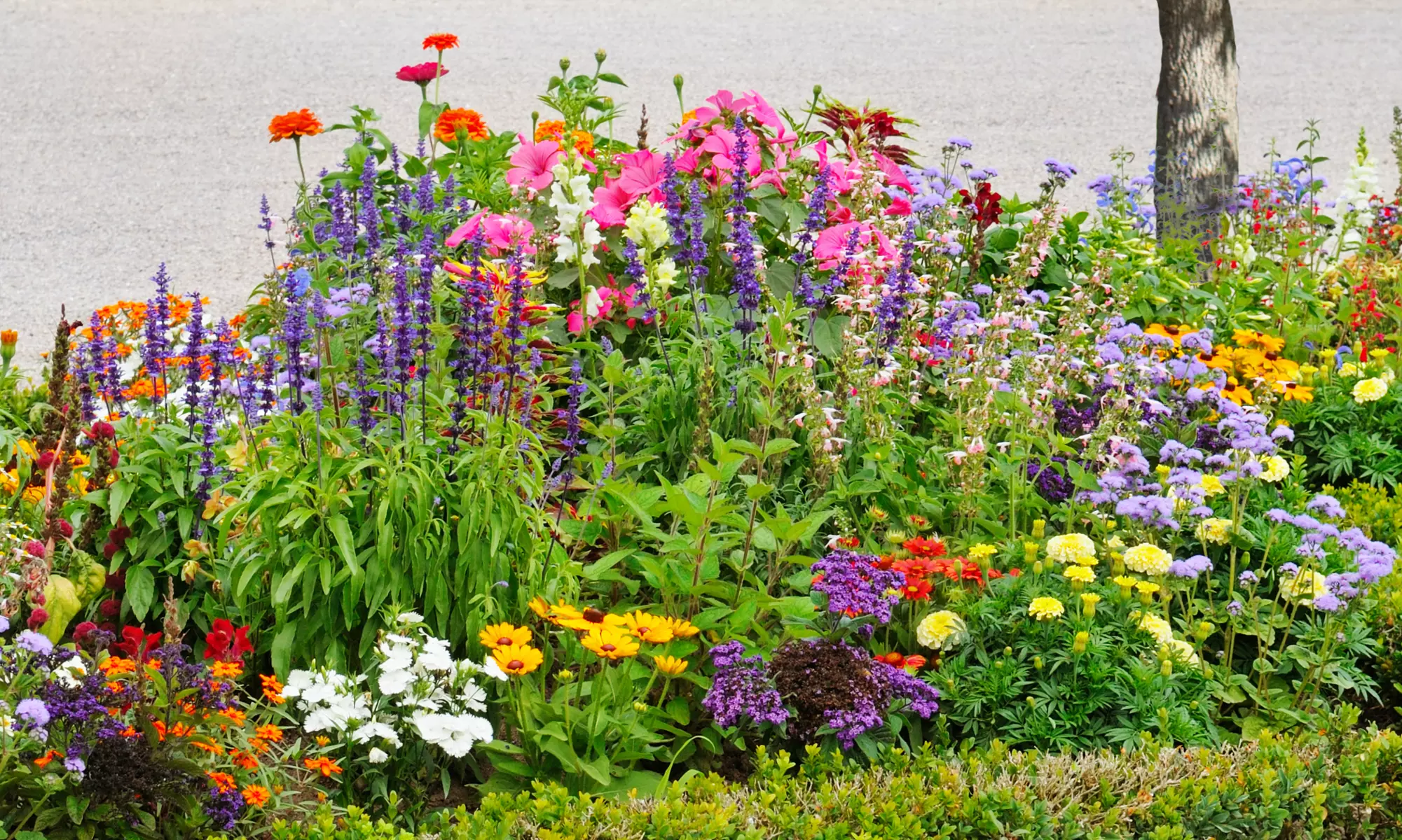 Bloom & Grow Pre-Seeded Flower Garden Mat w/Soil Block (1pk,2pk, 3pk-w/Shovel) - Primary Image