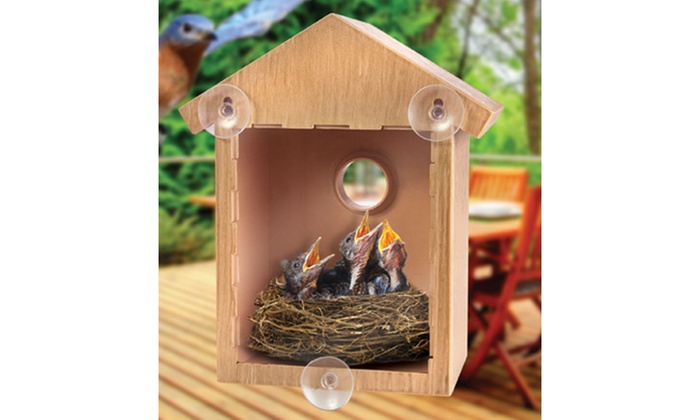 See Through Two Way Mirrored Window Mounted Bird House Nesting