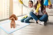 Dog Training Pee Pads (50-, 100- or 150-Count) - Second Medium