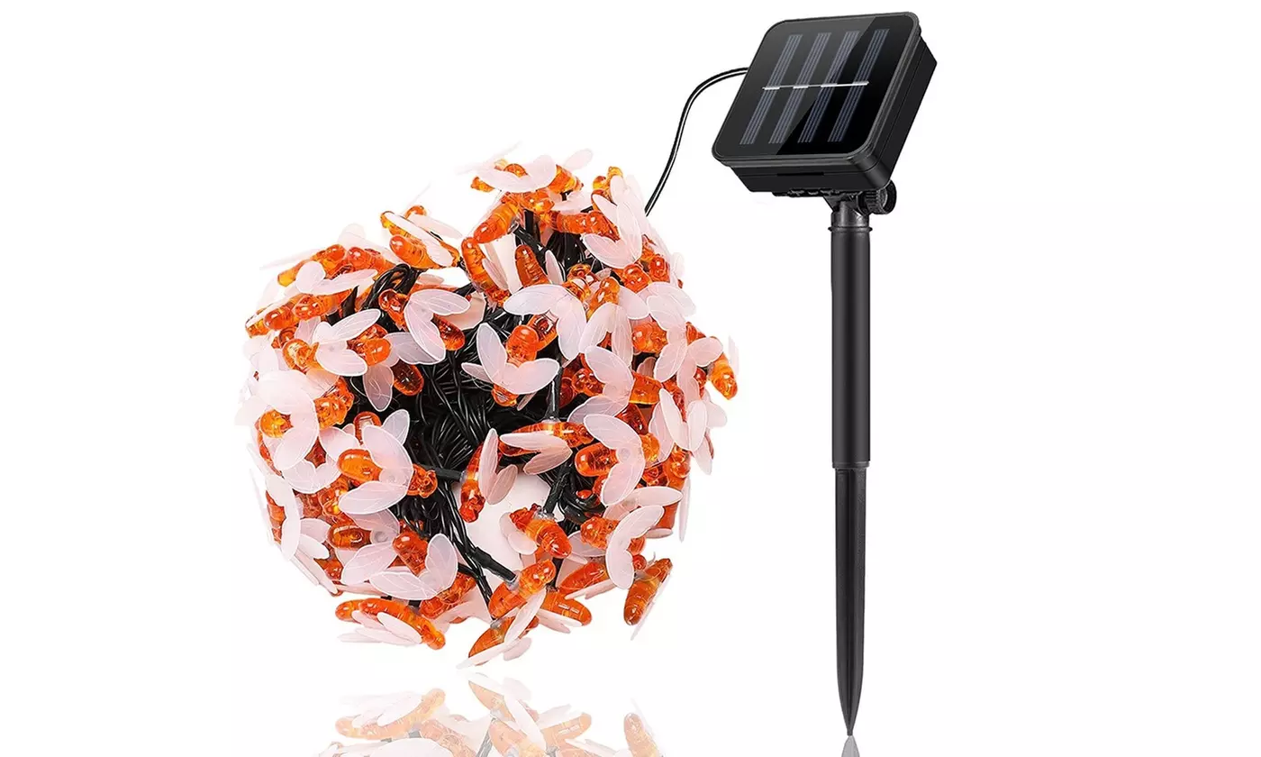 SolarEK Honey Bee 30-LED Solar String Lights with Ground Stake (1- or 2-Pack) - Second Medium
