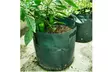 New Potato Grow Container Bag Planter Vegetable Growing Garden Planting Grow Bag - Second Medium