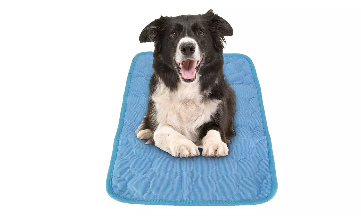 Dog Cooling Mats for Cat Dog Home Travel Car Seats Bed Pad Keep Pets Summer Cool - Primary Image