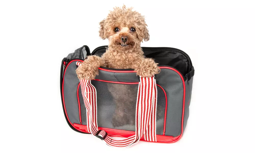 Candy Cane' Fashion Pet Carrier - Primary Image