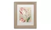 Color Bakery 'Tulips' Matted Birch Framed Art