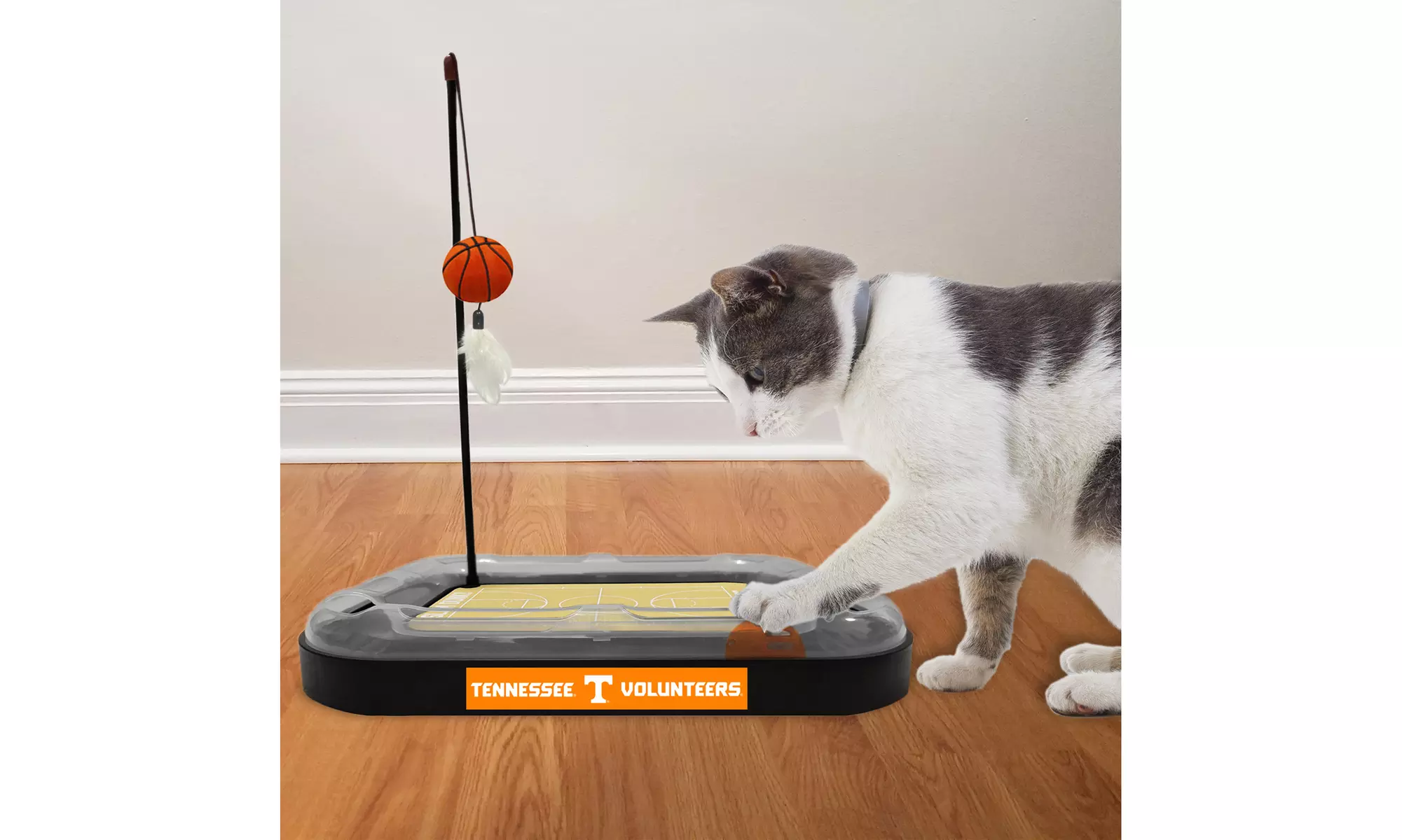 NCAA Basketball Cat Scratchers - Primary Image