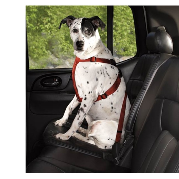 Hdp Car Harness Dog Safety Seat Belt Gear Travel System